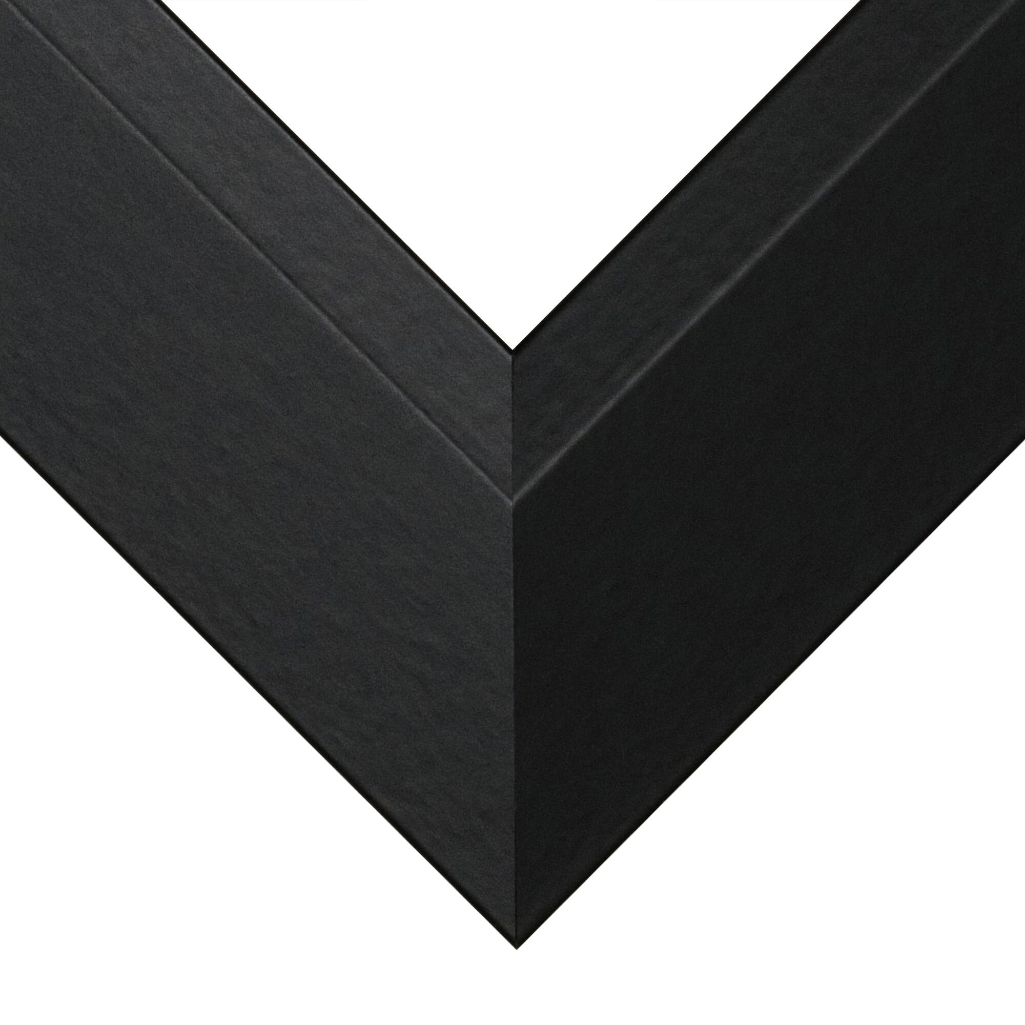 Frame USA Black Series Large Black Single Image Picture Frame with Mat